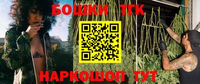 СК Будённовск