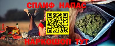 СК Будённовск